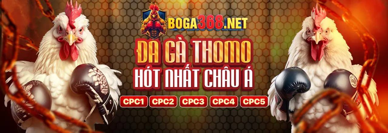 Đá gà trực tuyến Win69, sàn đấu sôi động